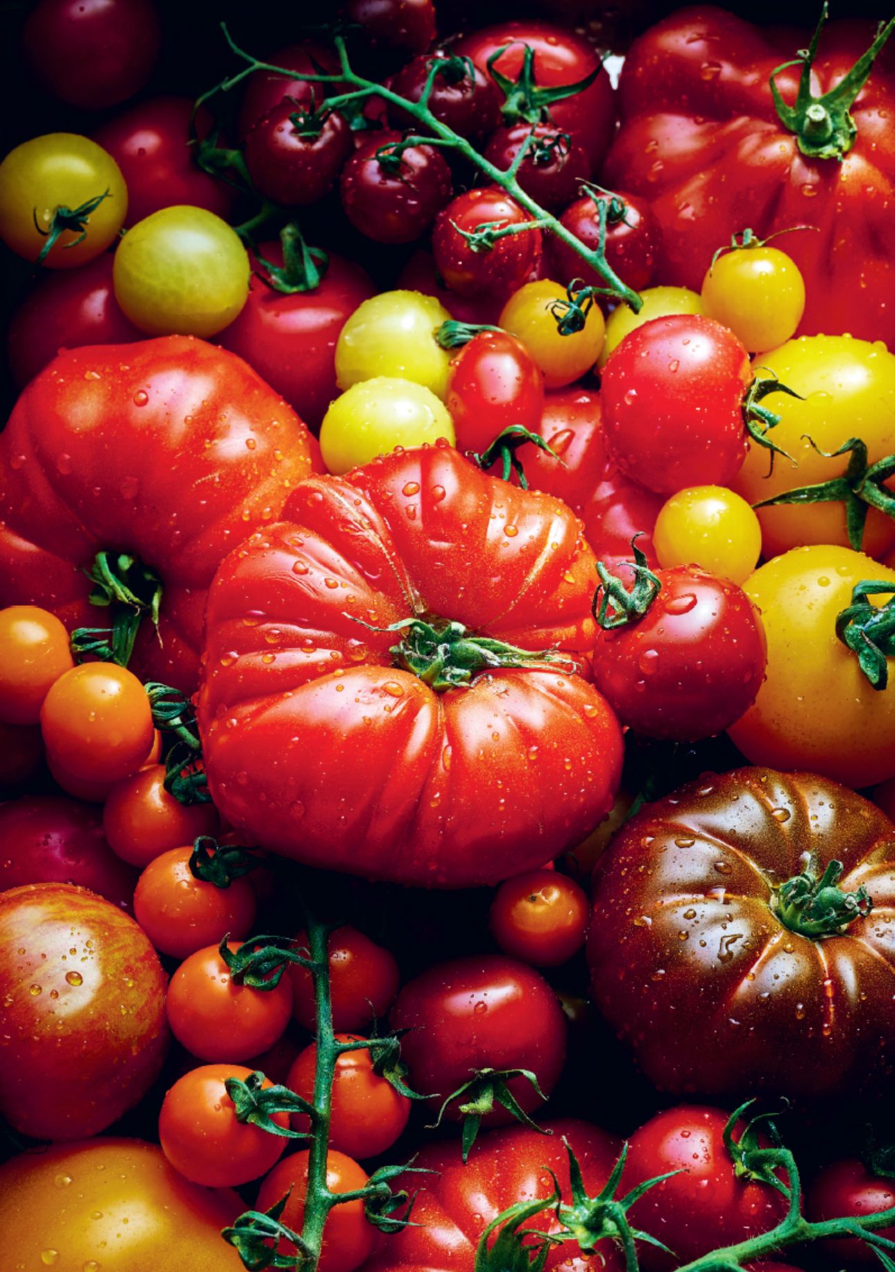 You Say Tomato, I Say Tomato